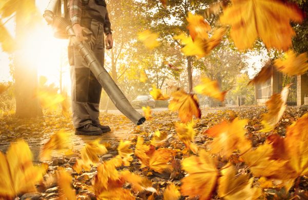 Leaf Blowing Service in La Quinta