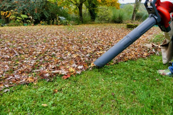 Leaf Vacuuming Service in La Quinta