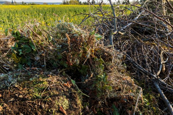 Brush Disposal in La Quinta