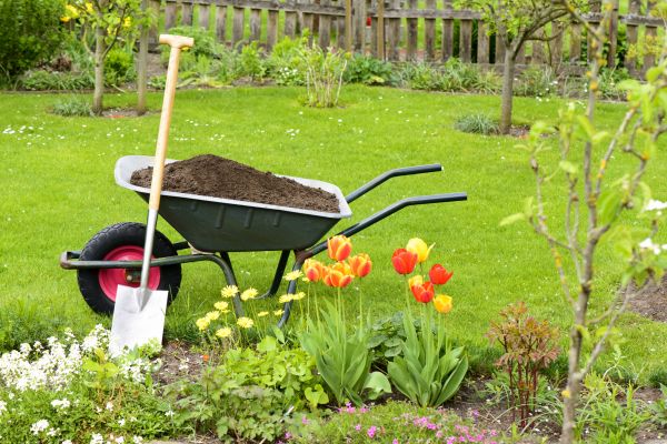 Spring Yard Cleanup in La Quinta
