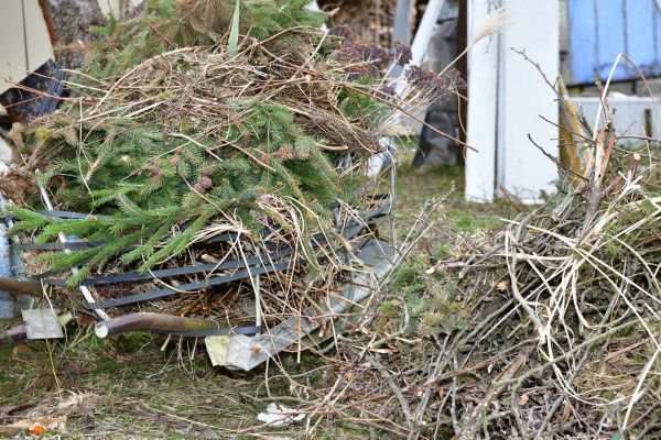 Yard Waste Removal Service in La Quinta