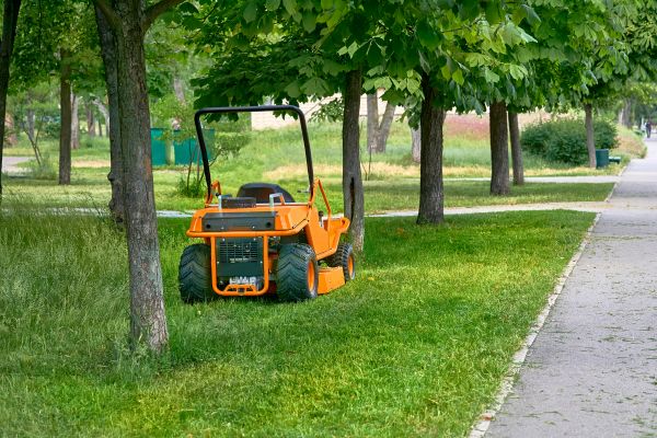 Landscaping Cleanup Service in La Quinta