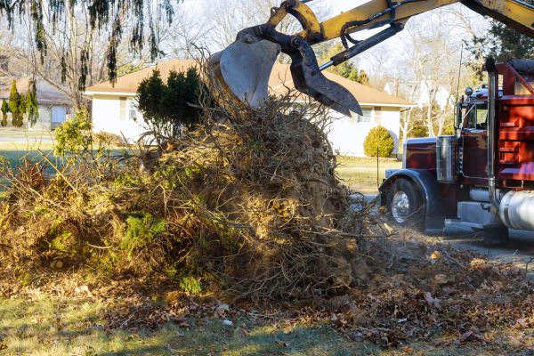 Storm Debris Removal in La Quinta