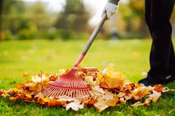 Ditch Leaf Removal in La Quinta