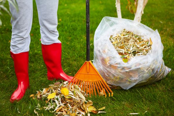 Leaf Disposal Service in La Quinta