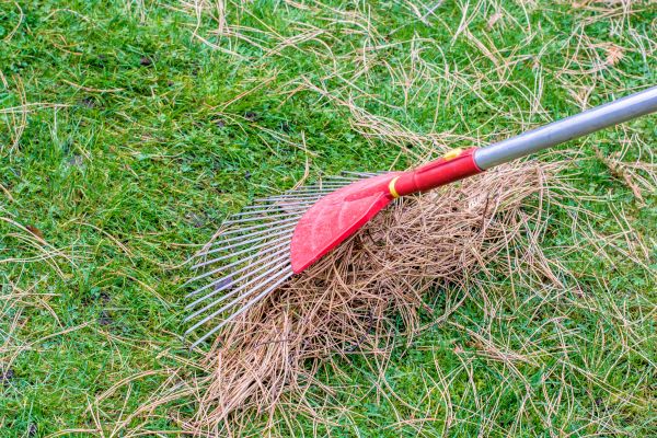 Yard Raking in La Quinta