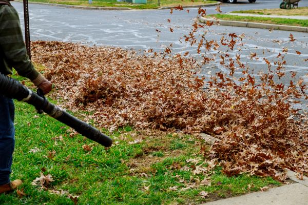 Garden Leaf Removal in La Quinta