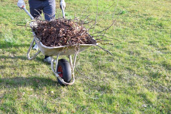 Yard Brush Removal in La Quinta