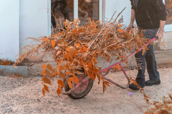 Cost of Lawn Debris Cleanup in La Quinta