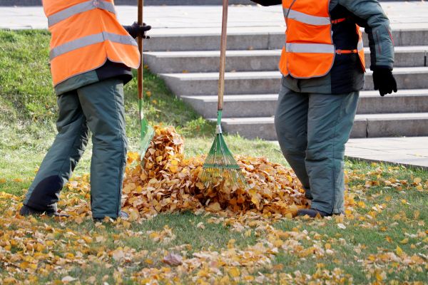 Leaf Hauling Service in La Quinta
