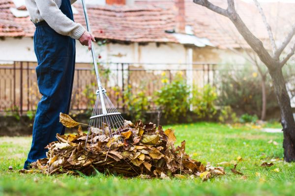 Spring Lawn Cleanup in La Quinta