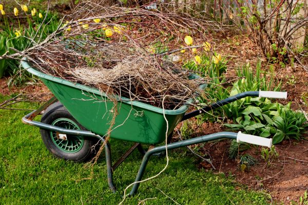 Lawn Waste Removal in La Quinta