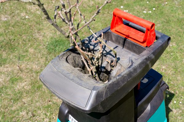 Cost of Brush Cleanup Service in La Quinta