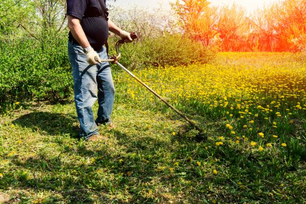 Yard Clearing Service in La Quinta