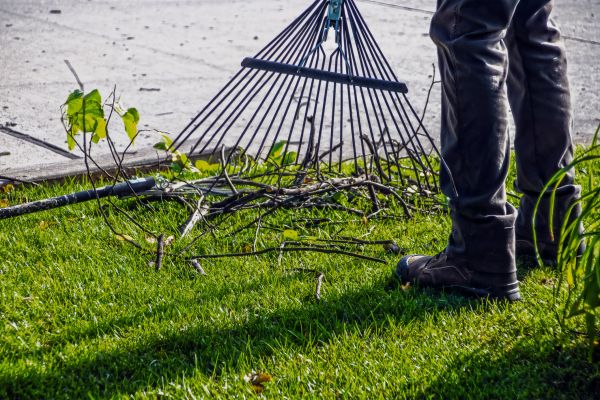 Yard Debris Cleanup in La Quinta