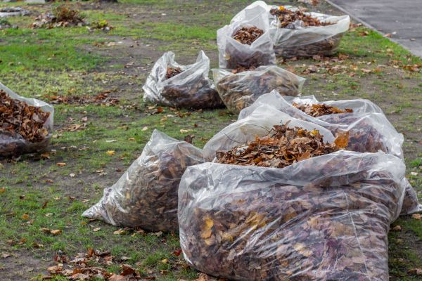 Leaf Pile Disposal in La Quinta