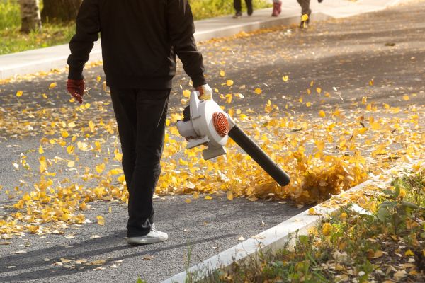 Commercial Leaf Removal in La Quinta