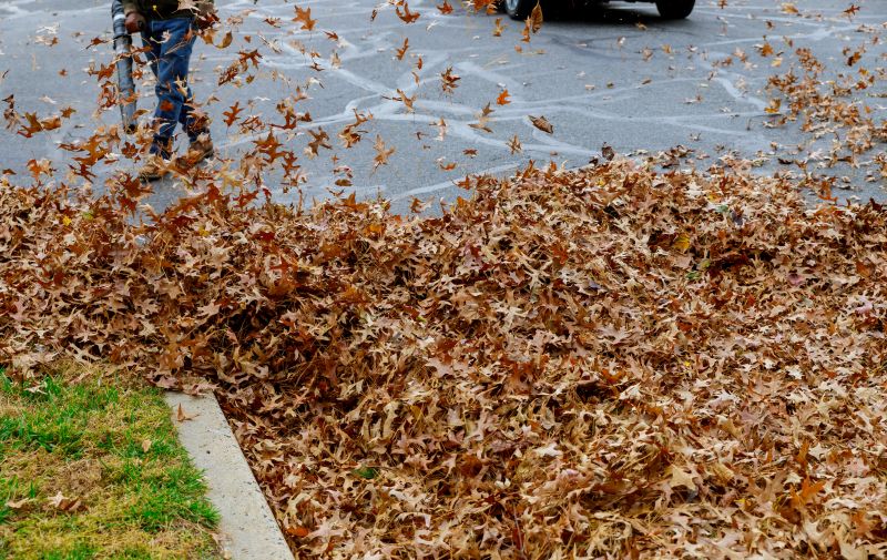 Fall Leaf Removal at Work