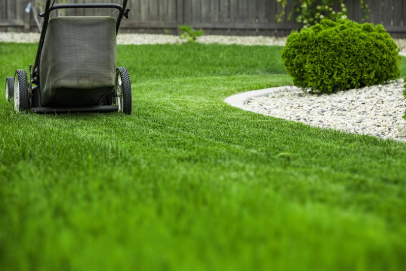 Trimmed and Edged Yard