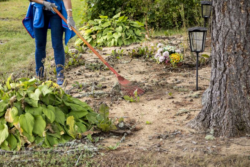 Storm cleanup team at work