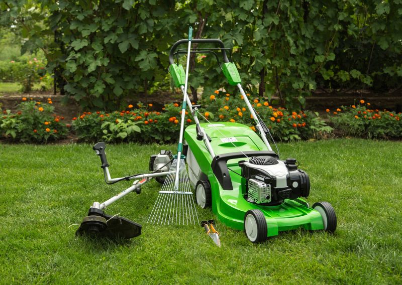 Lawn Cleanup Equipment
