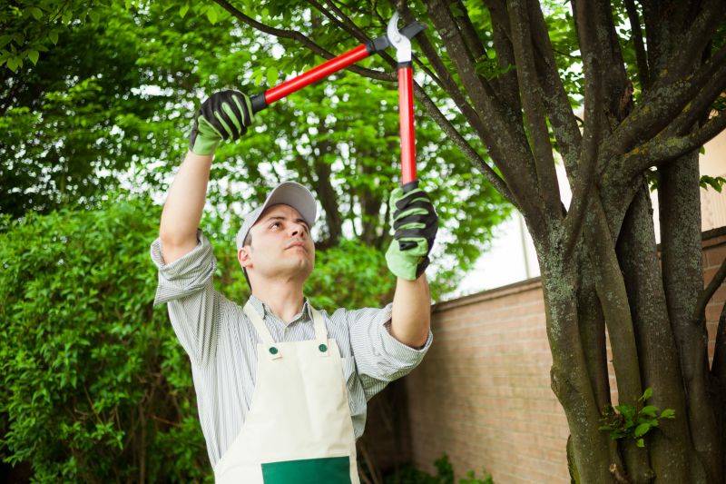 Tree Trimming Service
