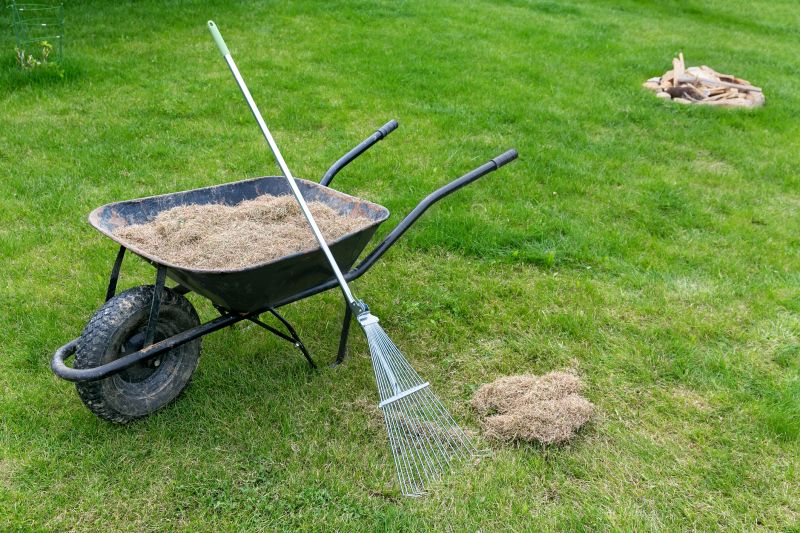 Thatch removal process