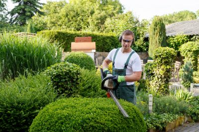 Tree and Shrub Trimming Professionals